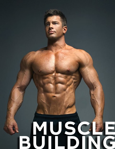 Home Page - Muscle Building